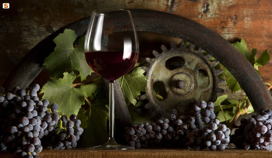 Vini di Sardegna